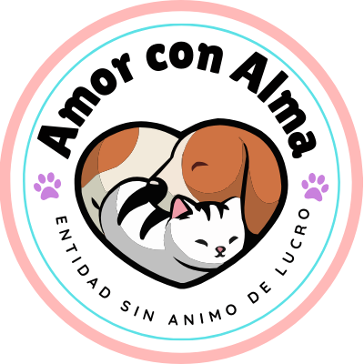 Amor Con Alma